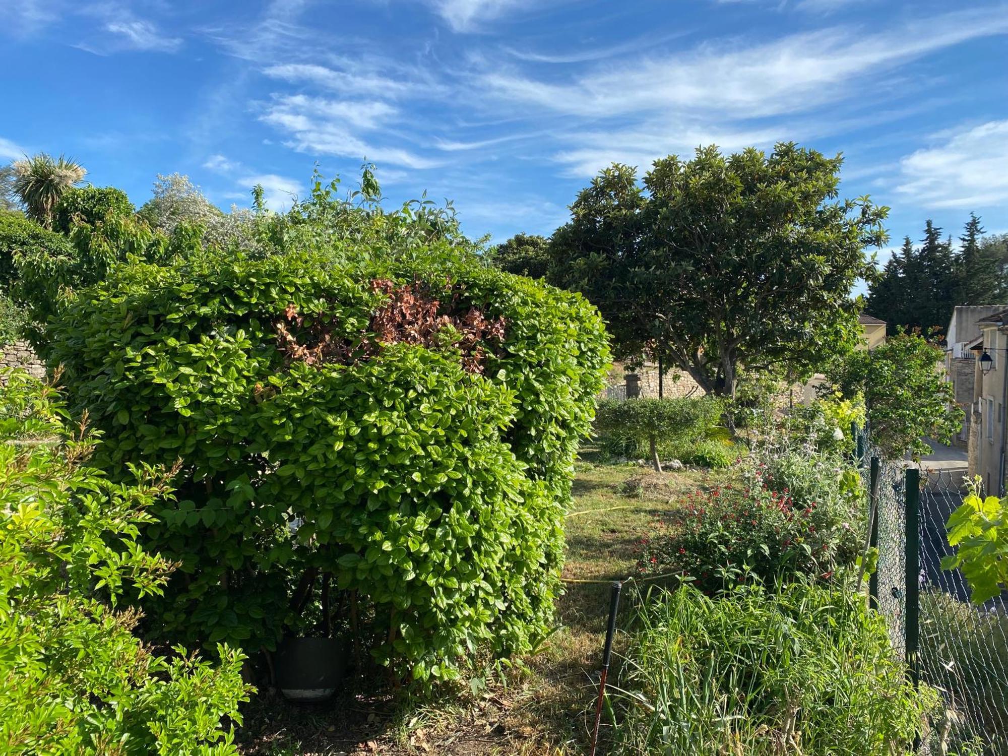 Saint-Maurice-de-Cazevieille Sous Le Tilleul מראה חיצוני תמונה